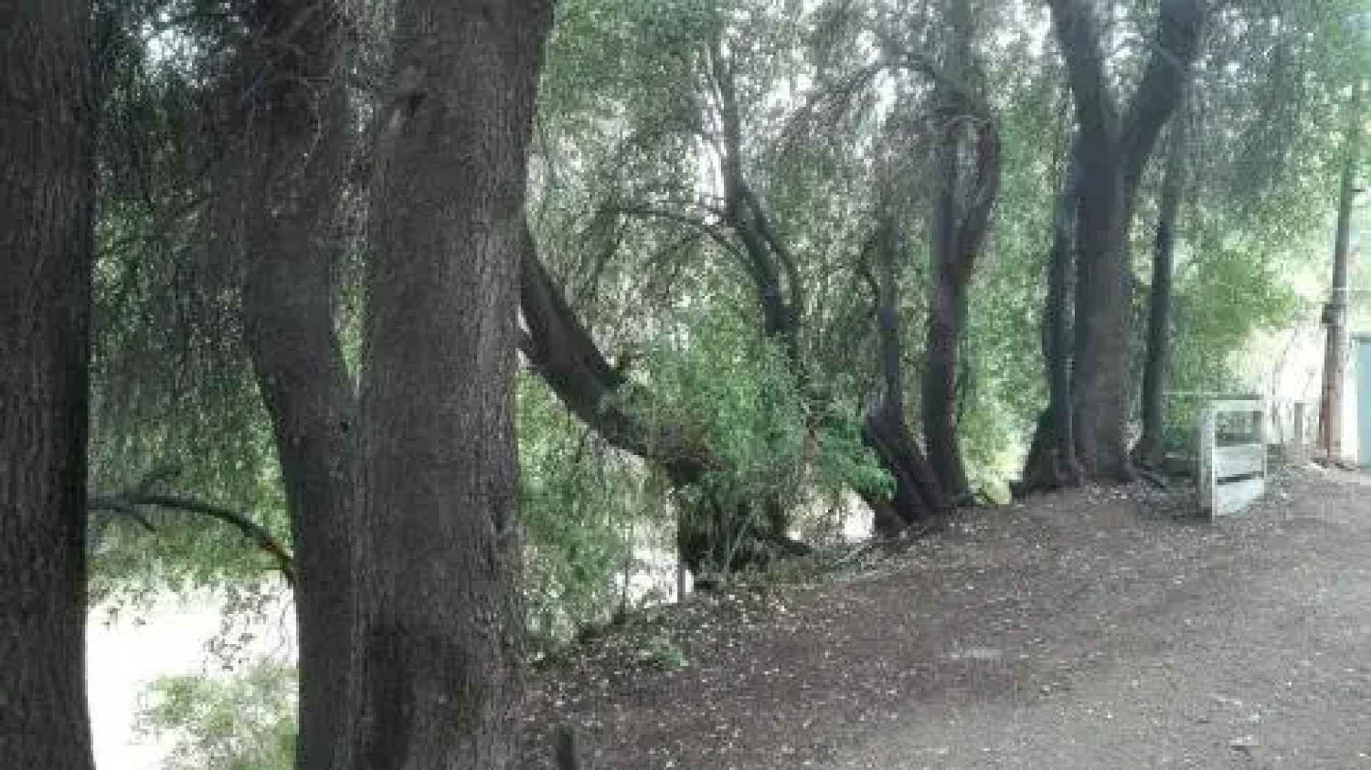 Cabaña El Ingenio
