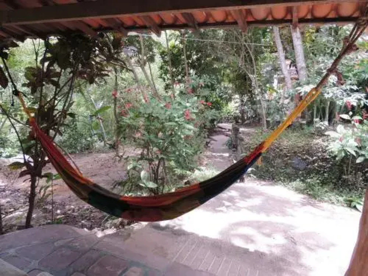 Canto Verde