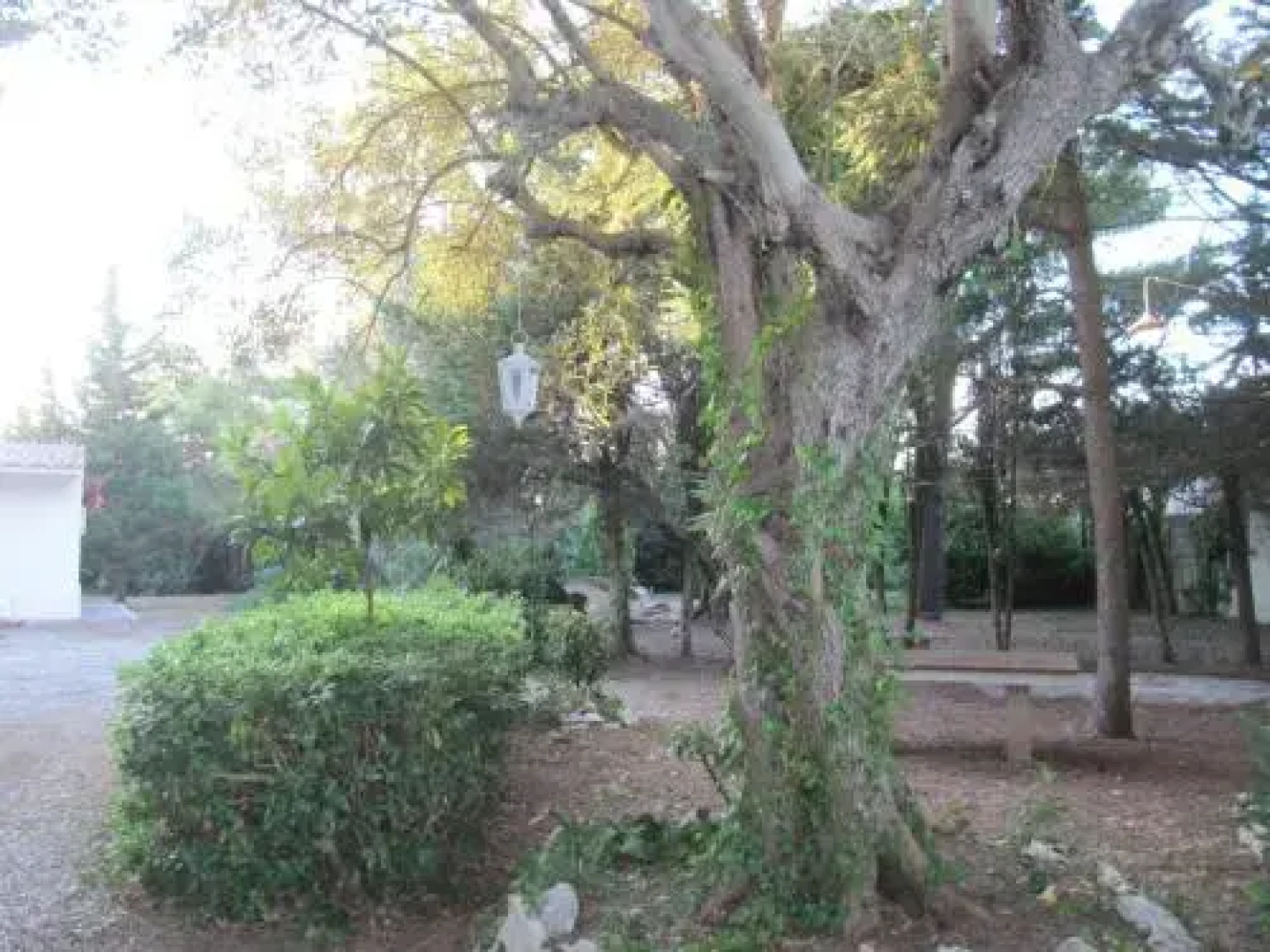 Garden Lucia