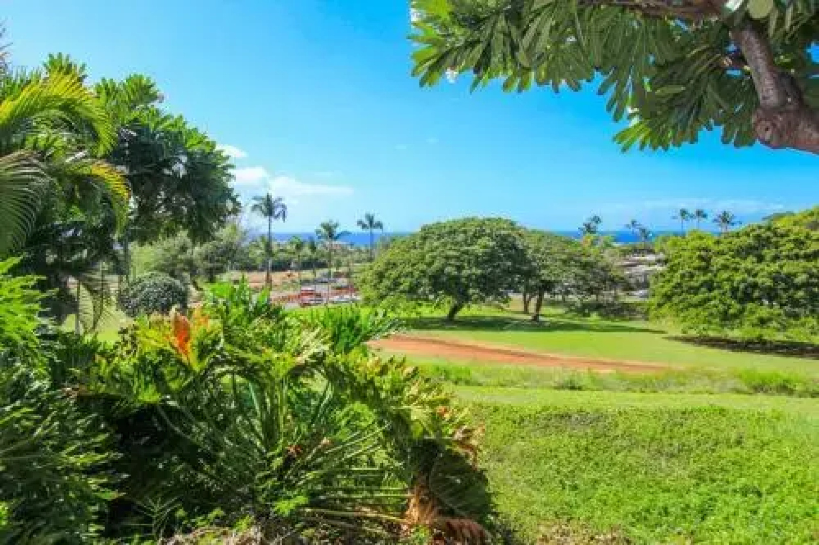 Wailea Ekolu #203