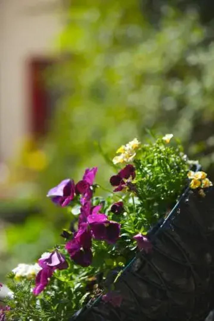 Westbrook House B & B