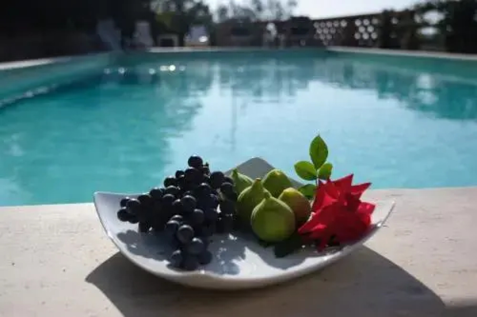 Agriturismo Il Sasso