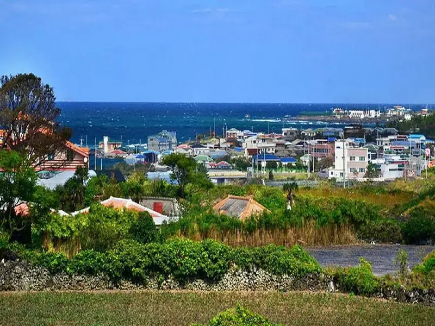 Jeju Blue Night Pension