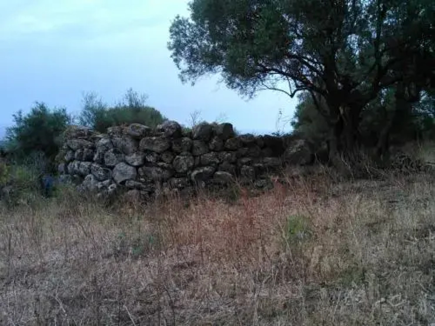 Agriturismo Vistamare