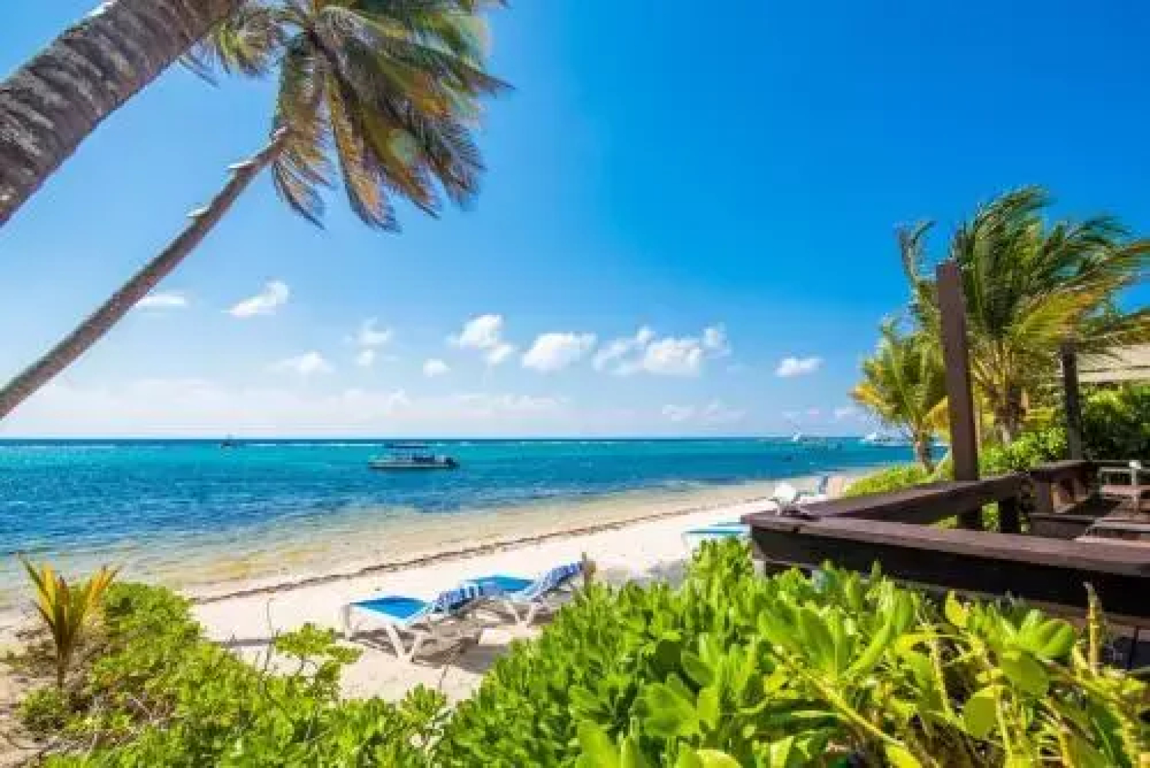 Caribbean Paradise 12