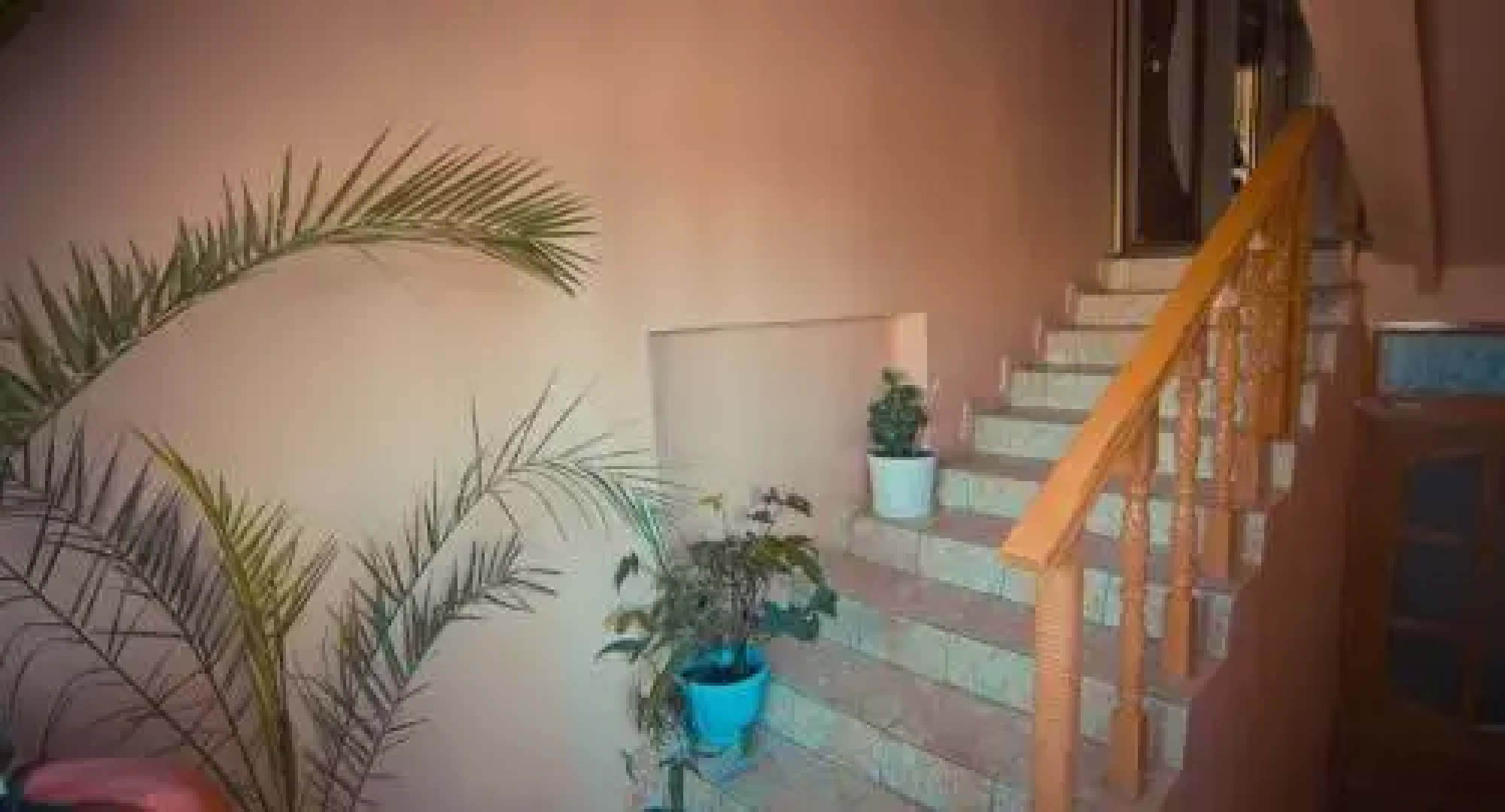 Guest House Parus