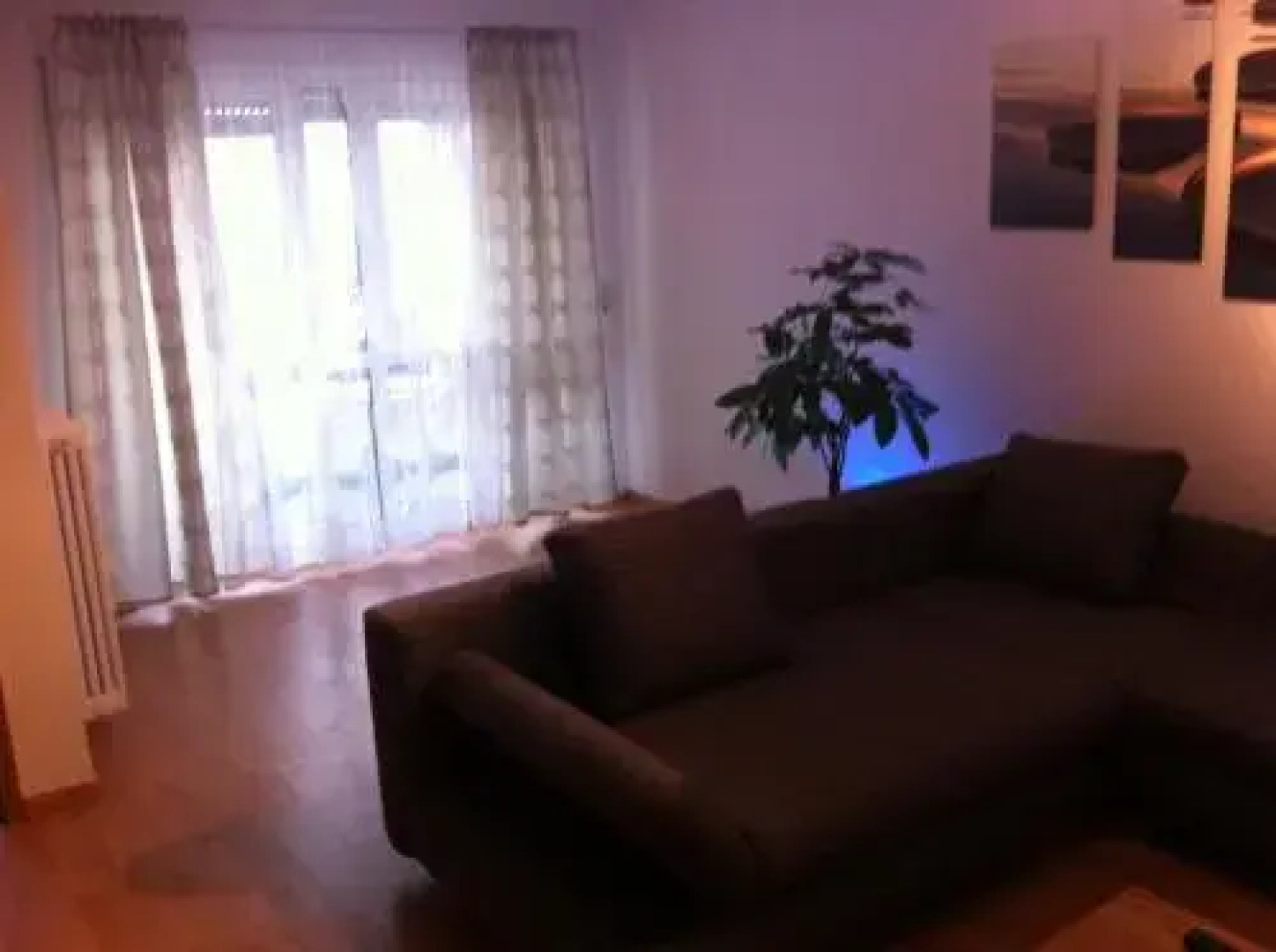 Apartment Simone