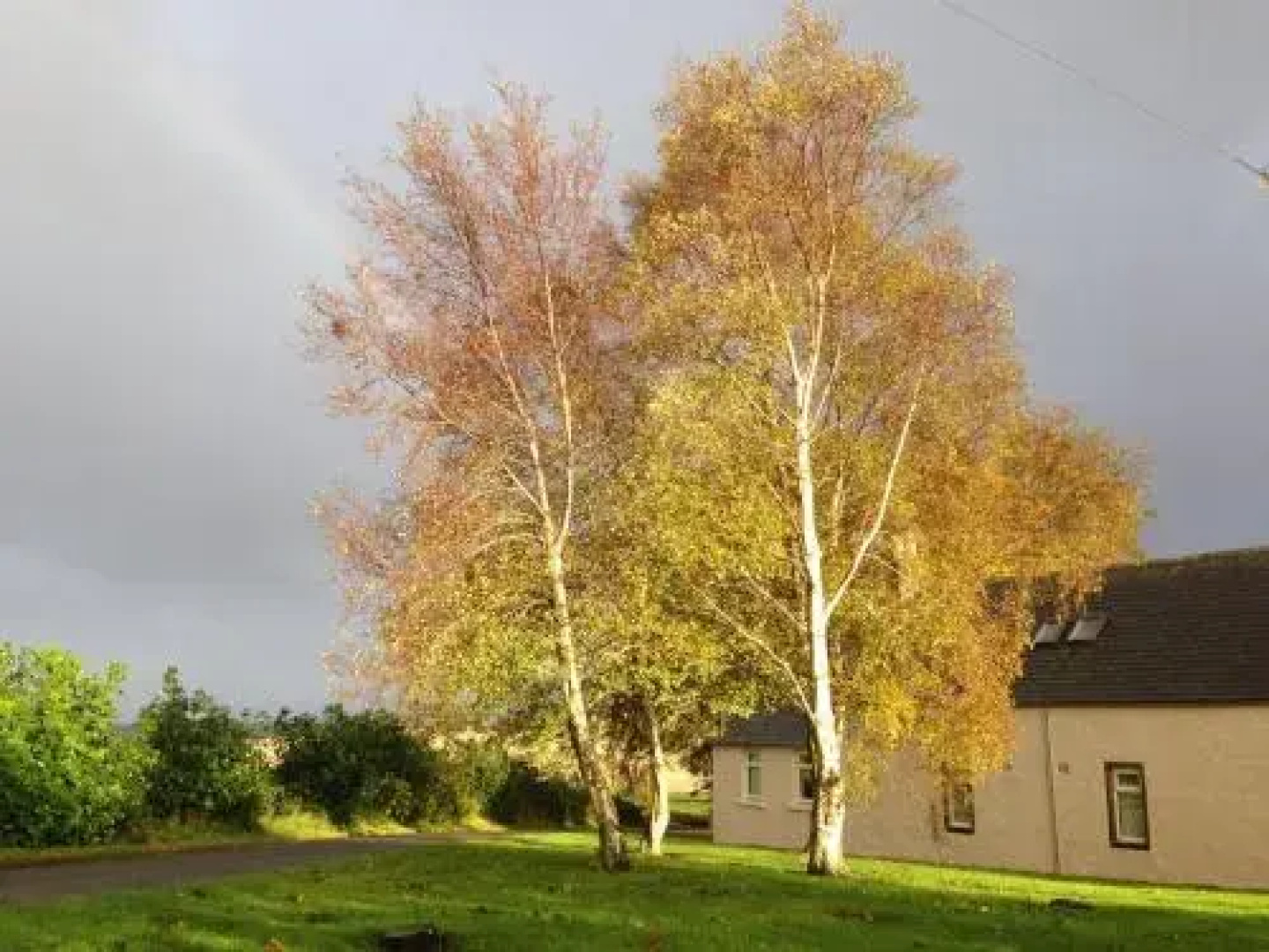 Eastwood Cottage
