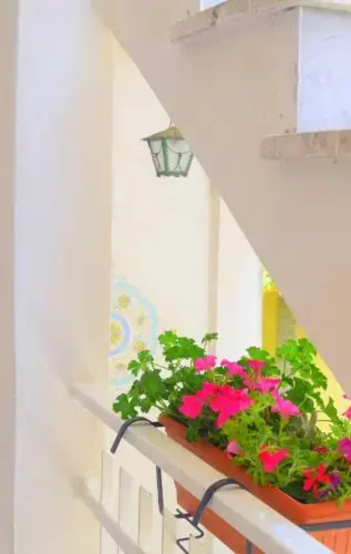 B&B Turistico