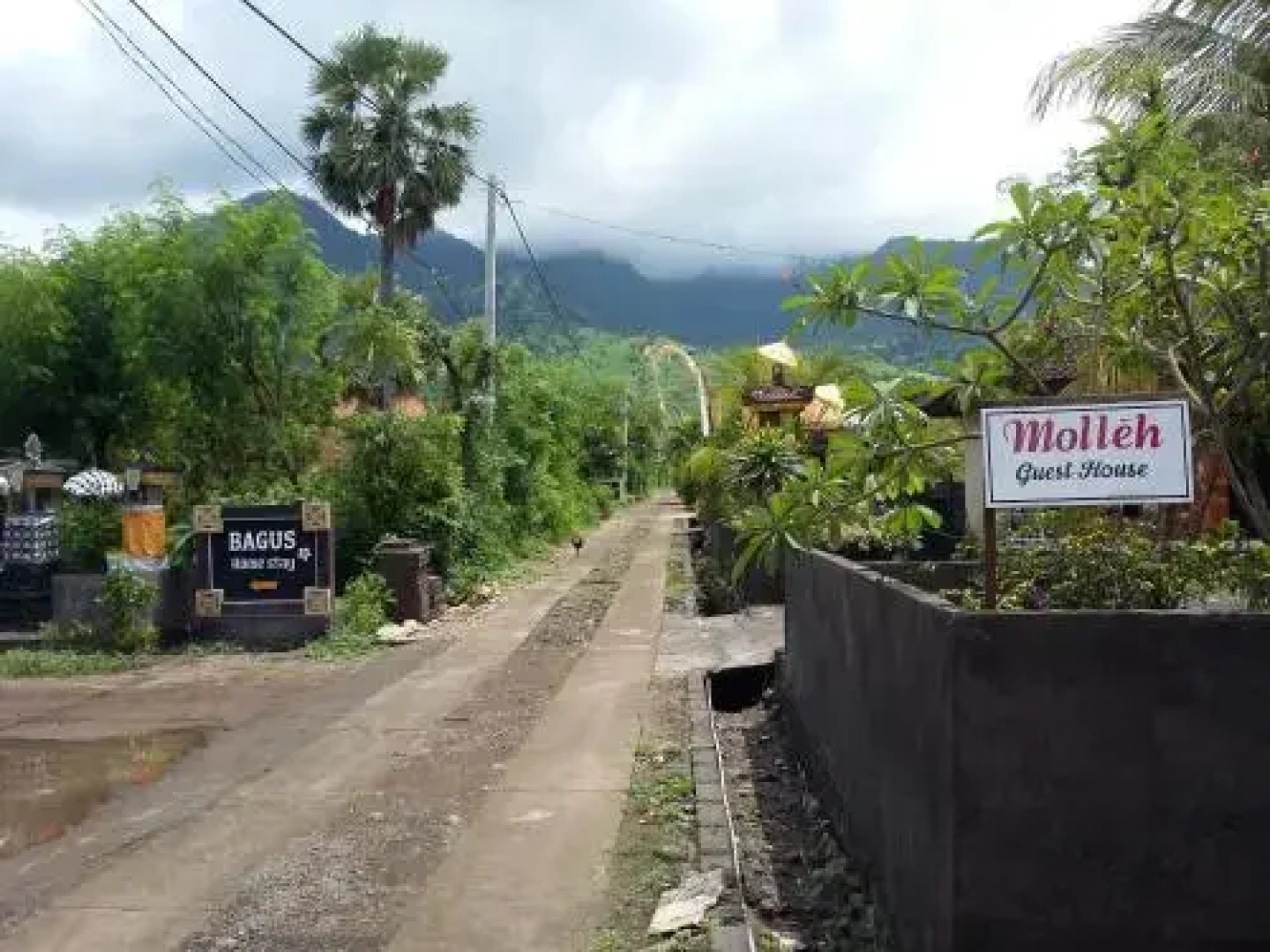 Molleh Guest House