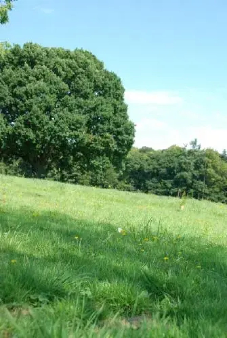 Holiday home Gites Manoir du Ranleon 3