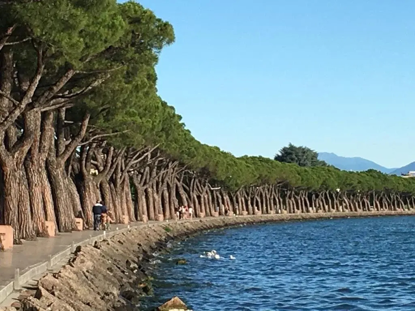 La Bassana