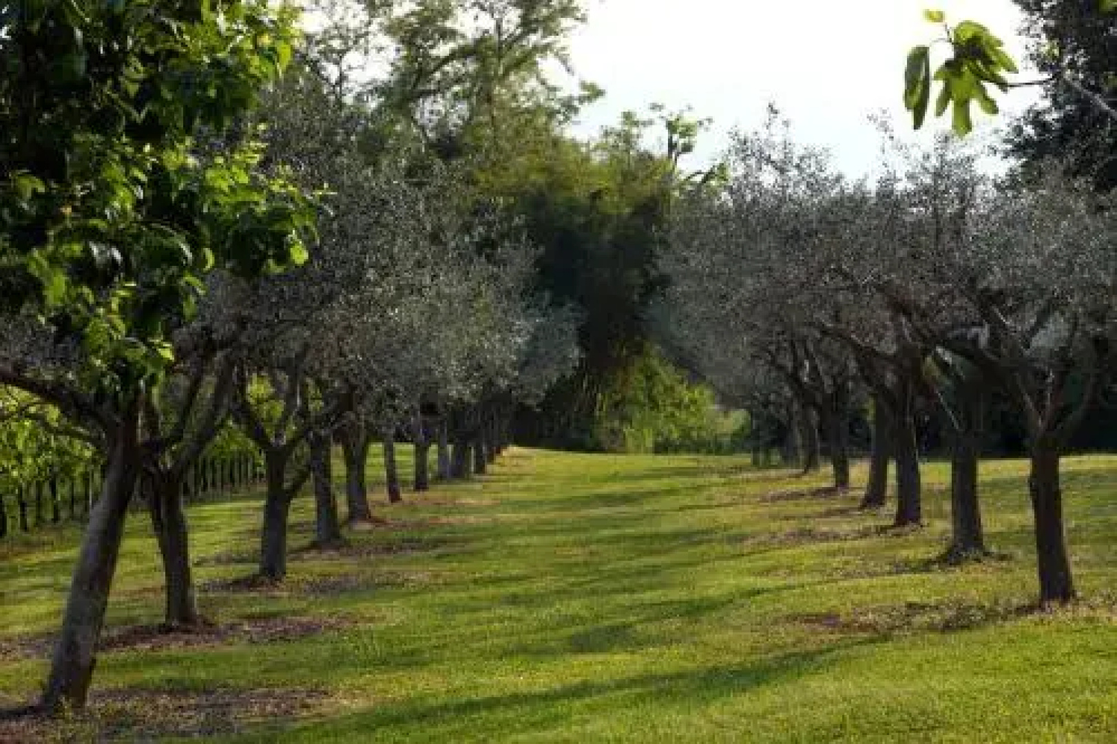 B&B Ca' Milone