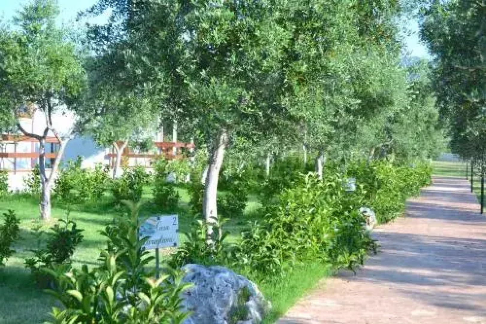 Agriturismo Antichi Ulivi