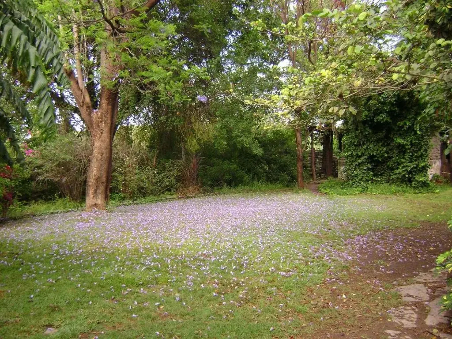 Posada Niña Juana