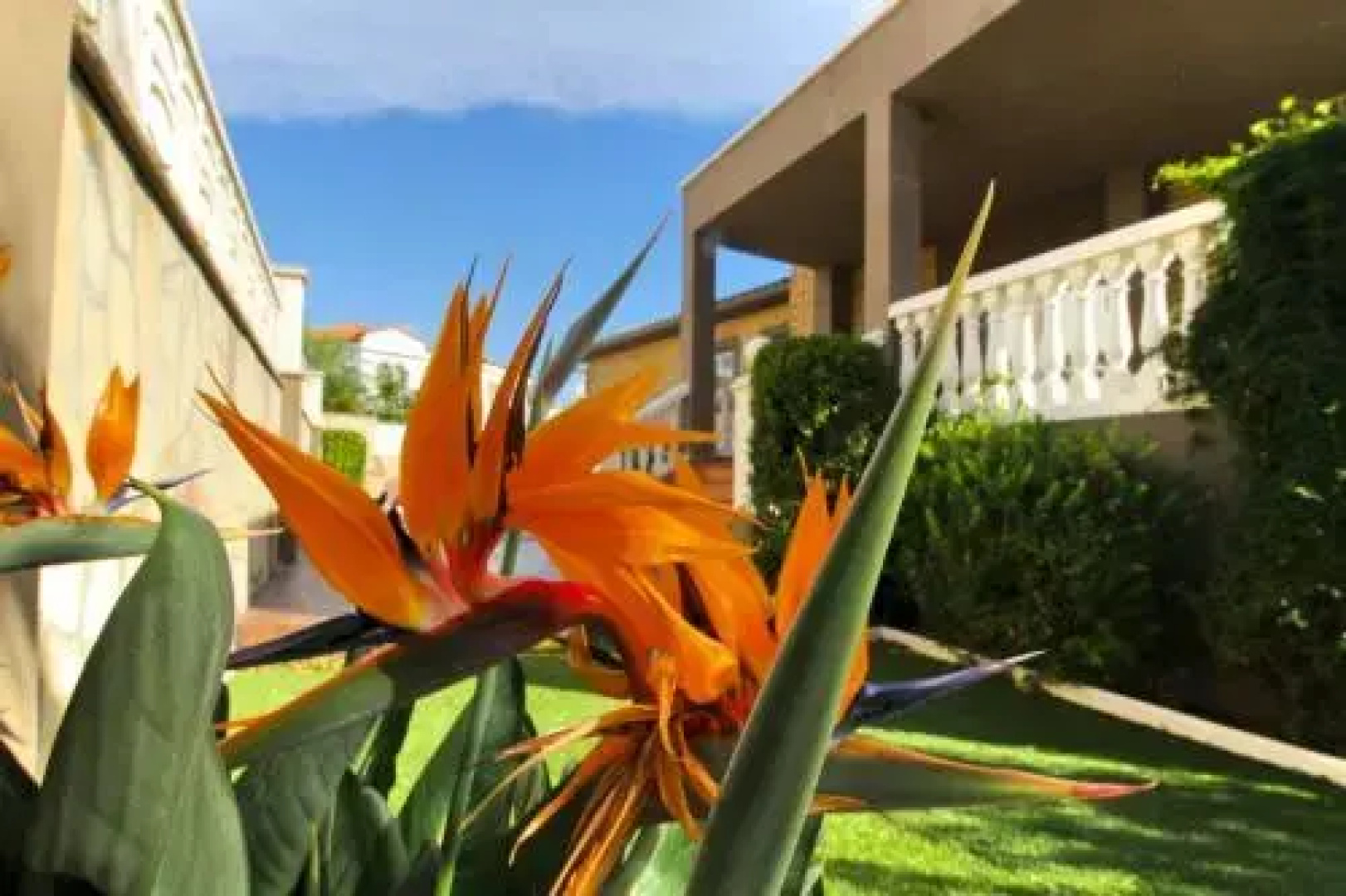 ARENDA Villa Flandes Pino Alto