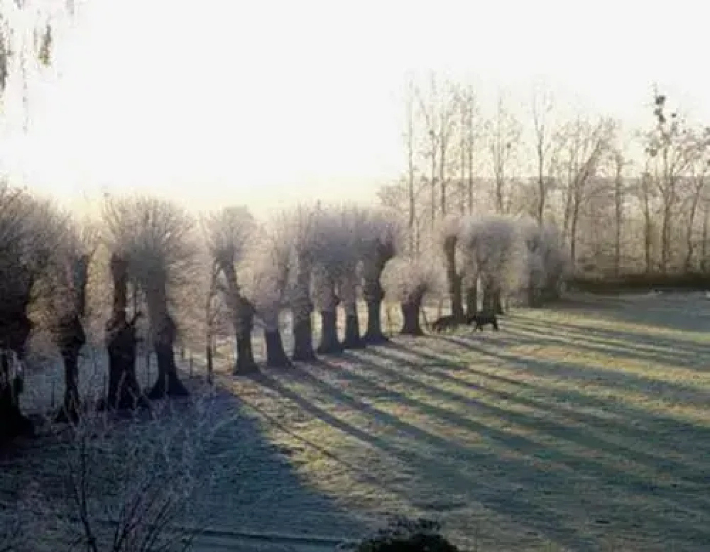 Manoir d'Hermos
