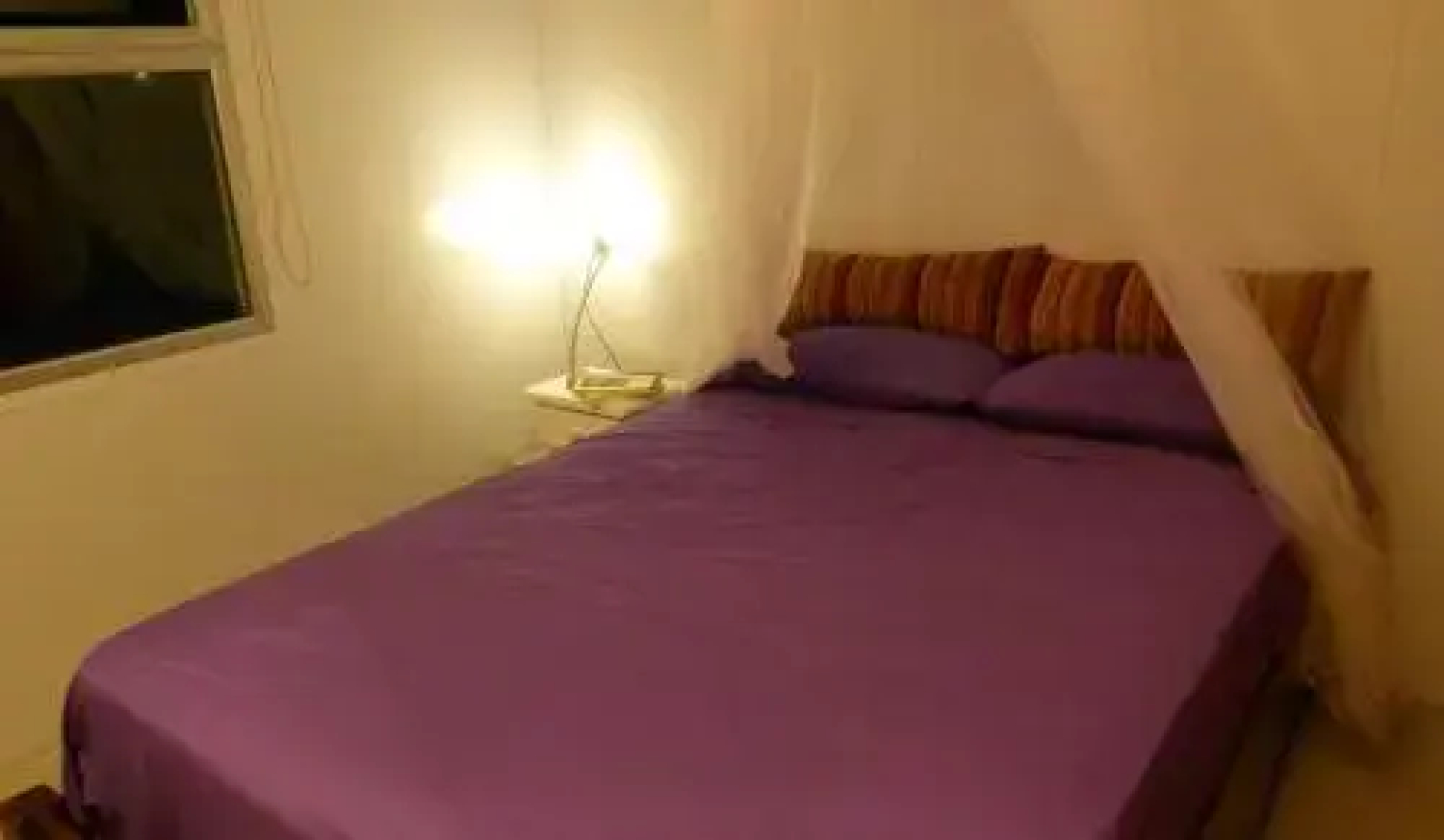 Casita Picaflor