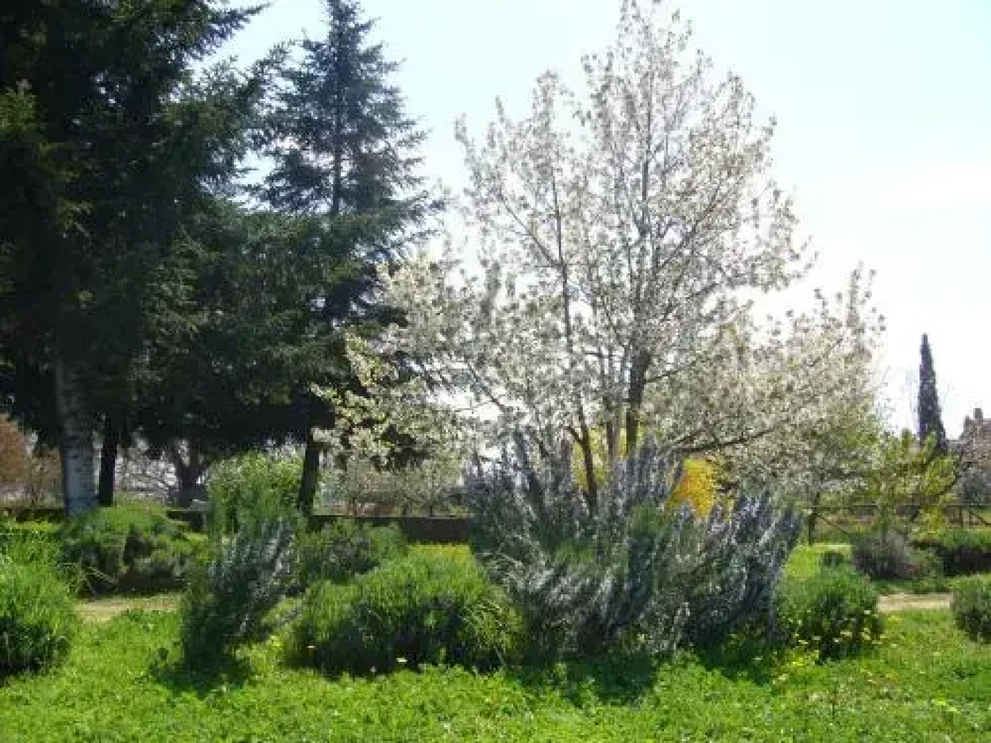 Agriturismo San Giacomo