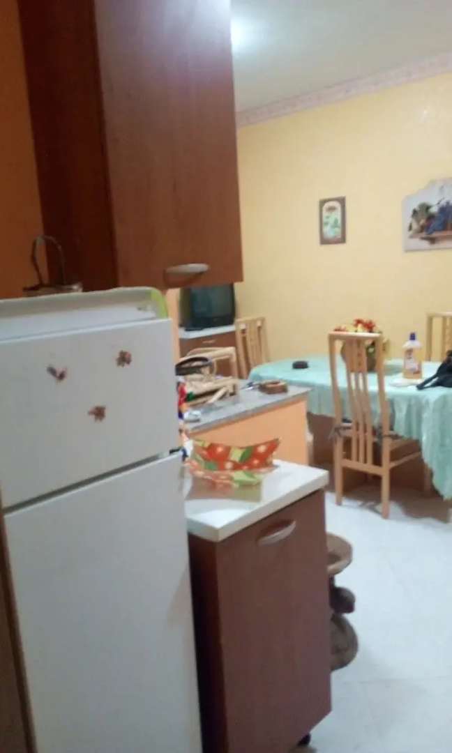 Anemone della Scala dei Turchi