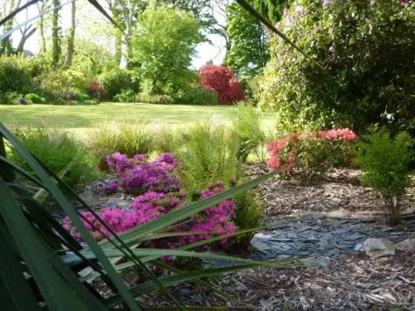 Cefn-y-Dre Country House