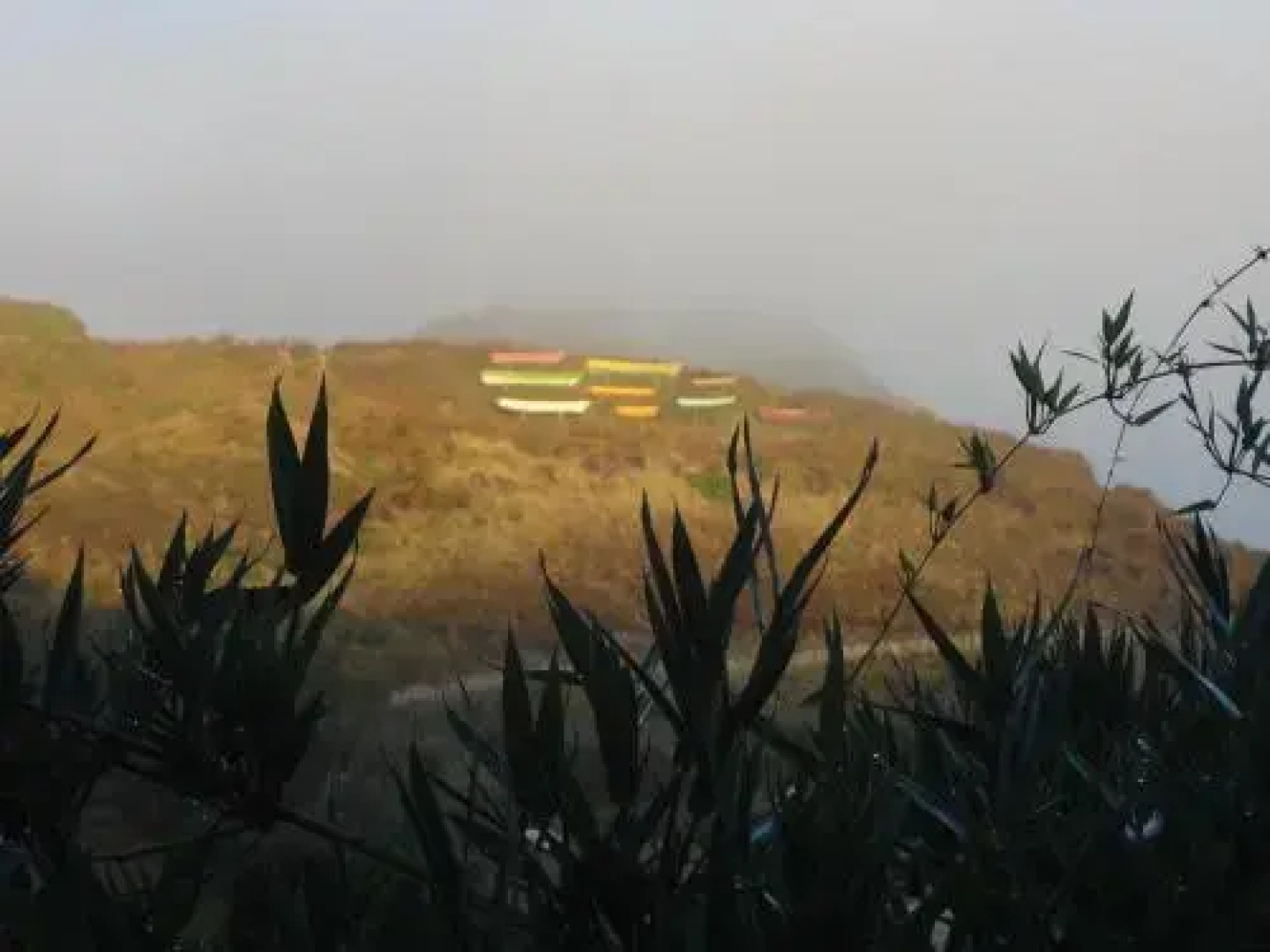 Chiloé Austral Hostel
