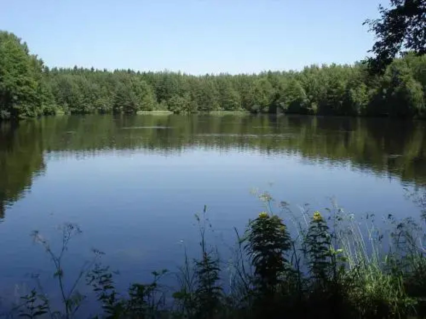 Buxusson Resort