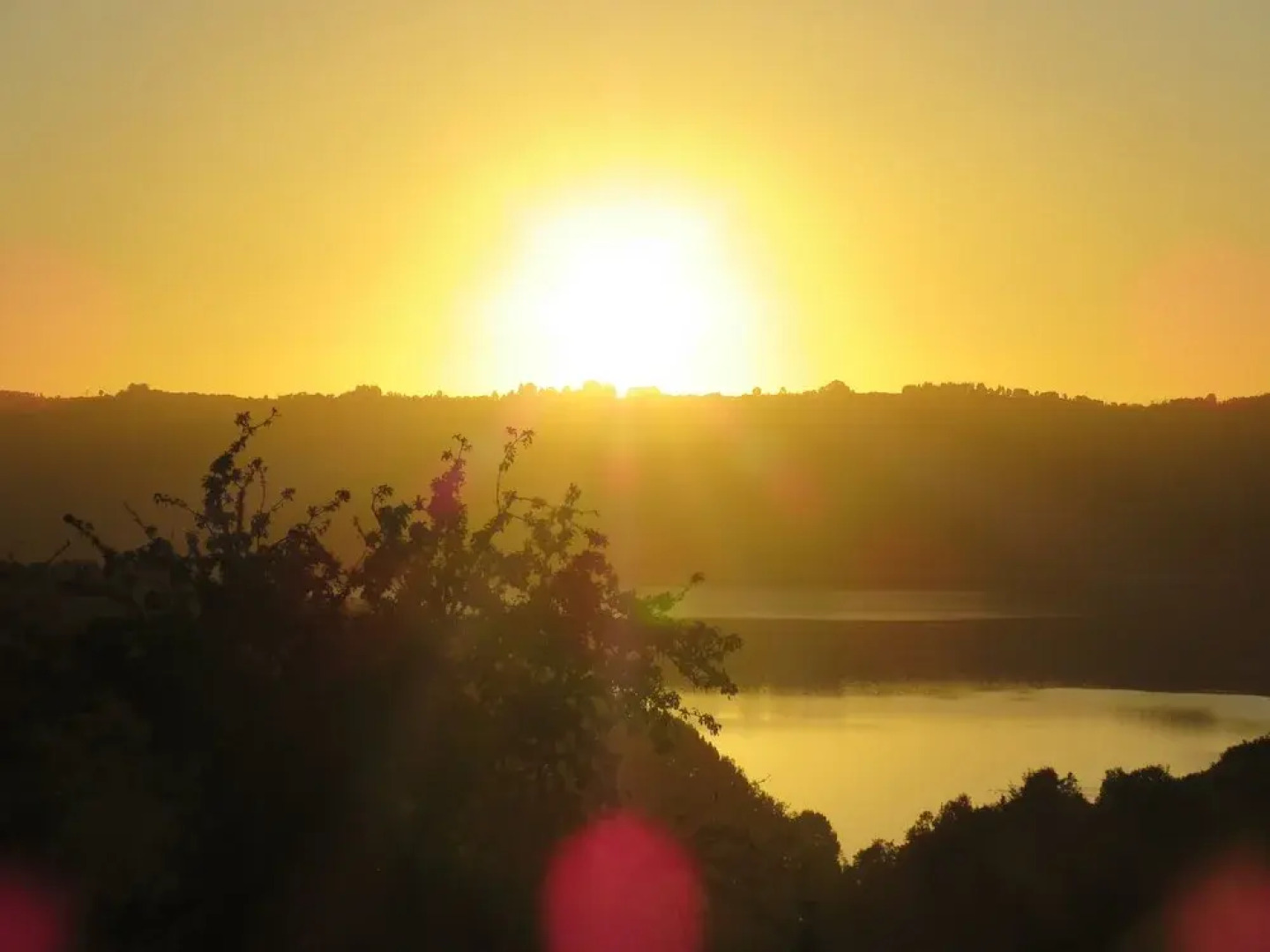 Cabañas Origen Chiloe