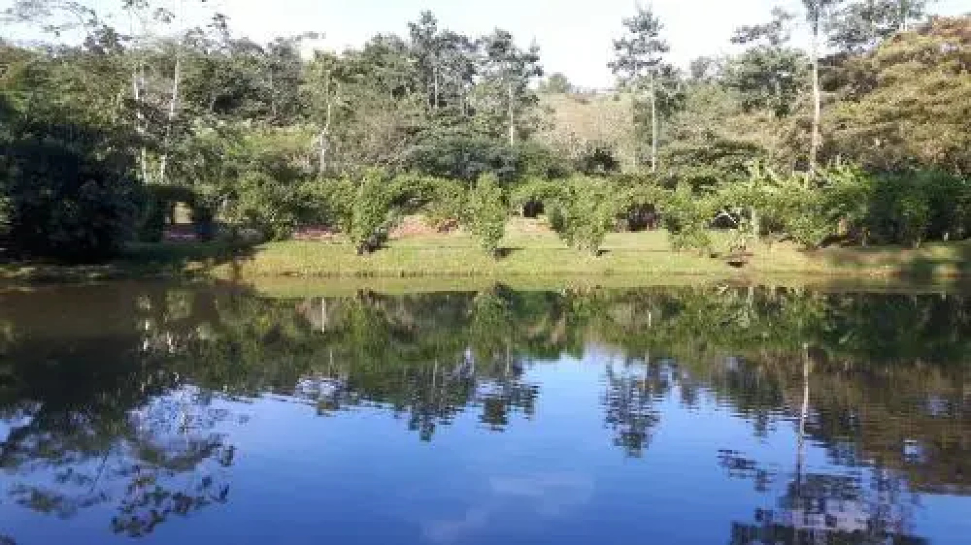 Rincon Verde