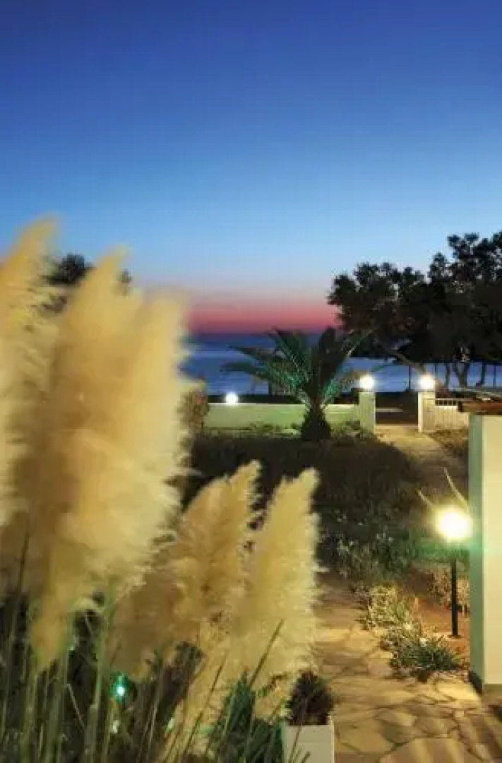 Krinakia