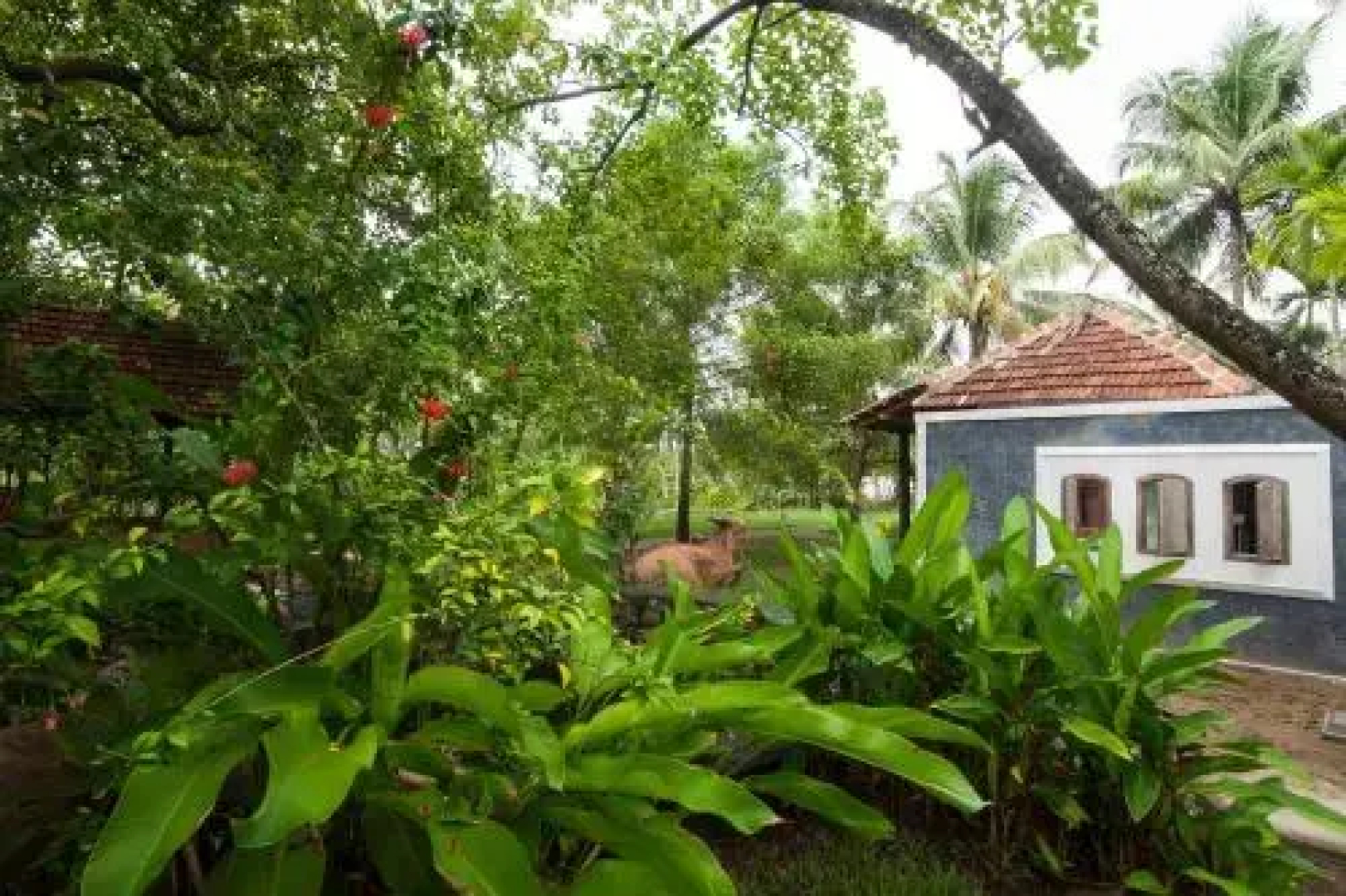 Kayal Island Retreat