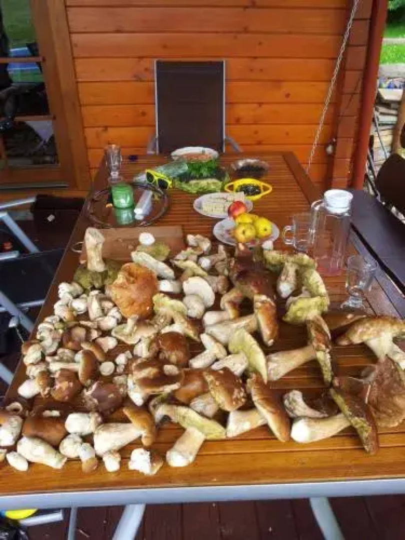 Dom Wakacyjny Letnisko