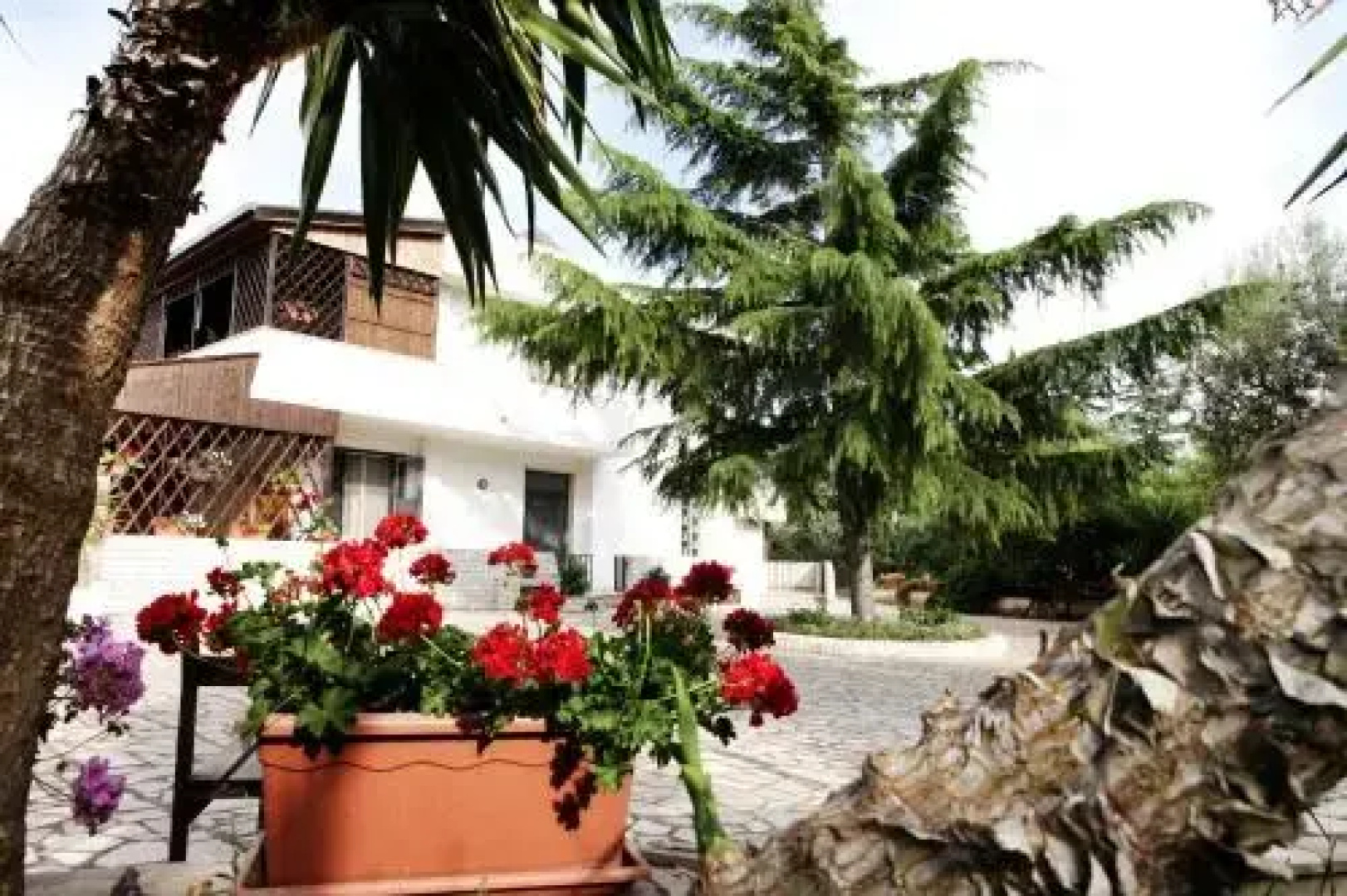 bed & breakfast Relax