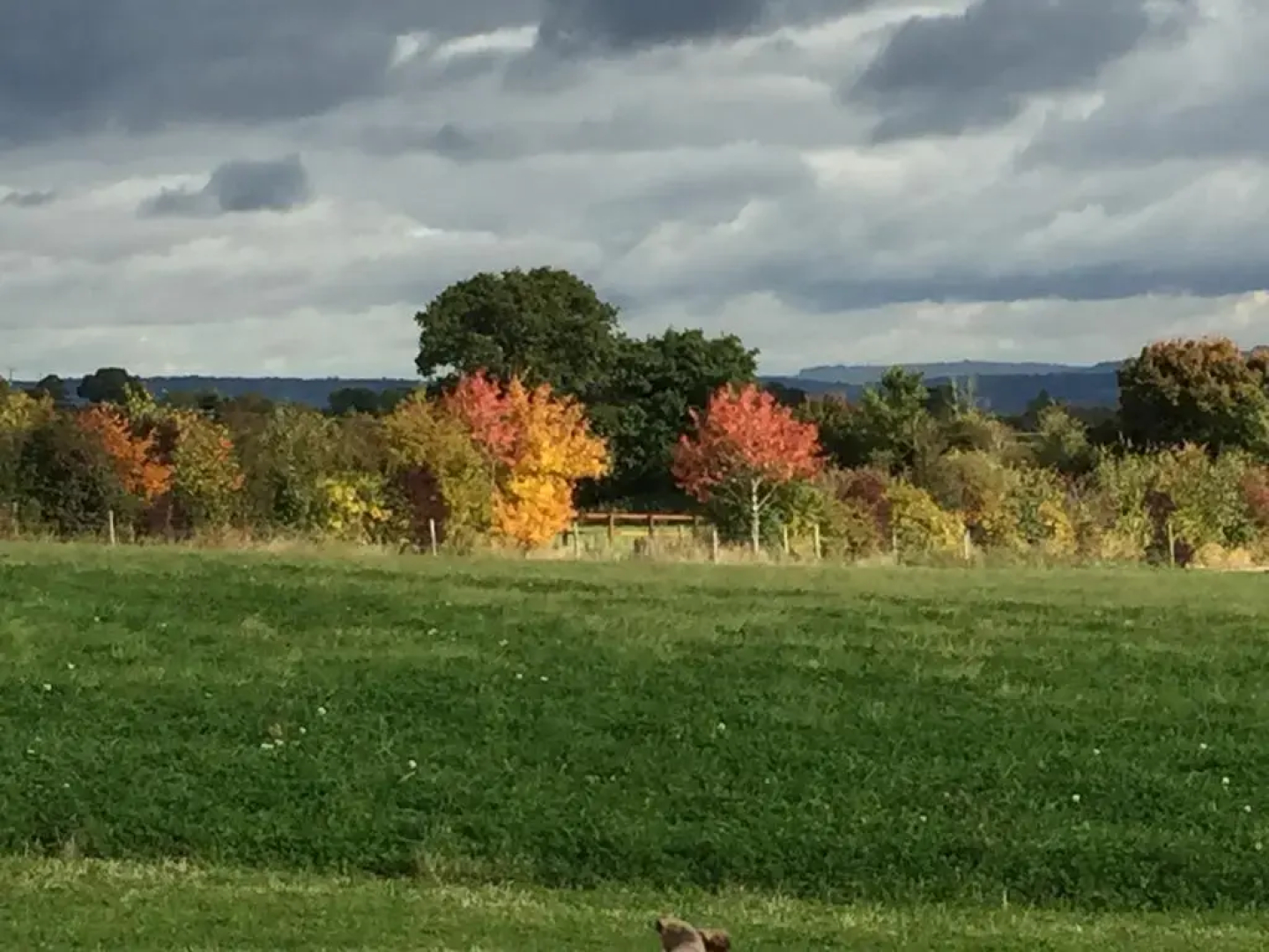 Foxfield Glamping