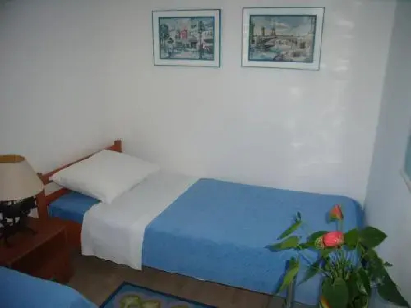 Apartment Iva