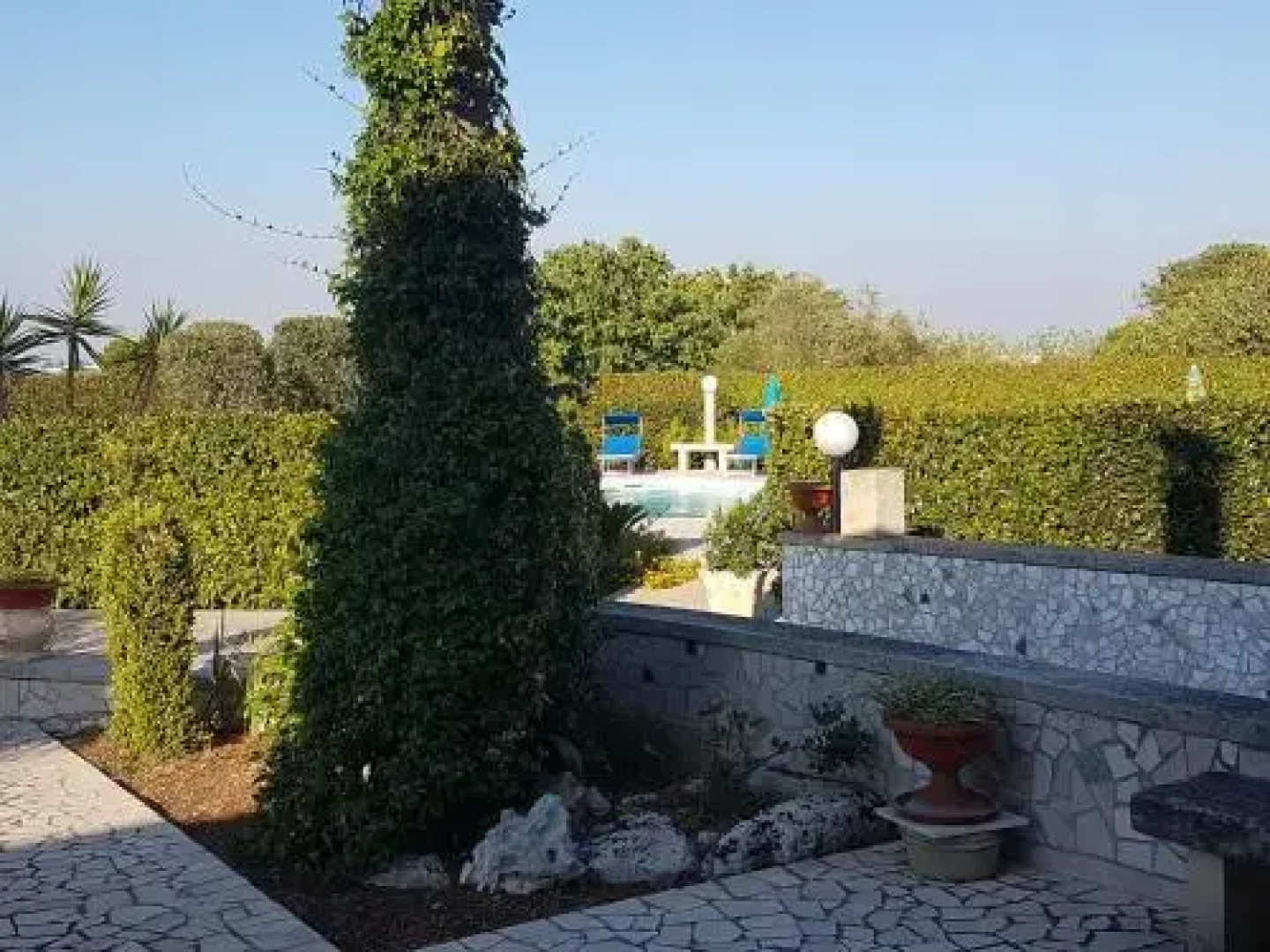 B&B Plathea
