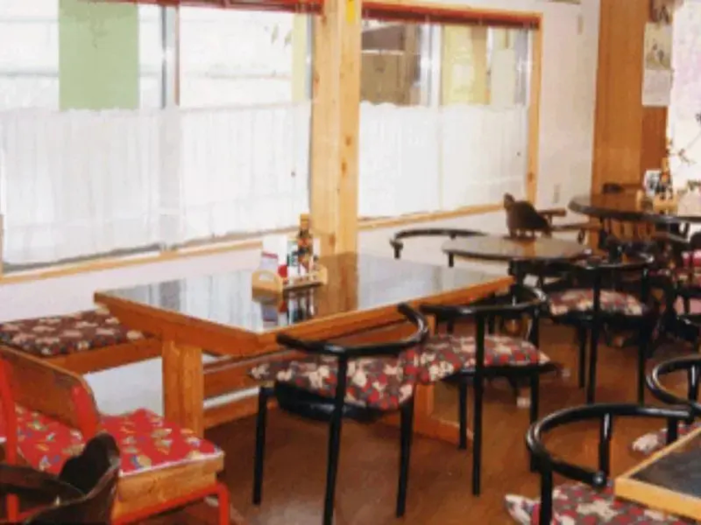 Matsuyama Youth Hostel