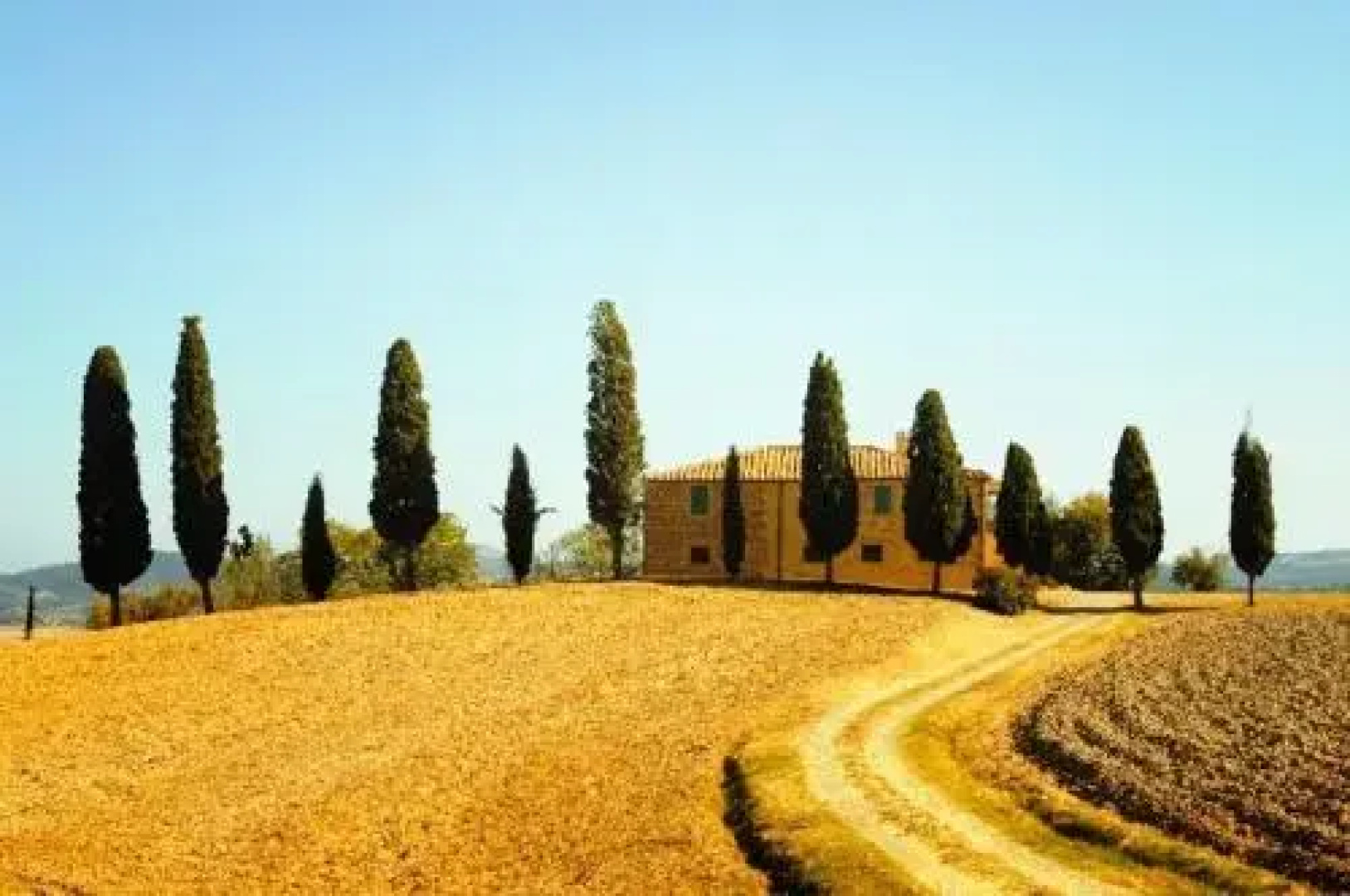 Fattoria Palaia