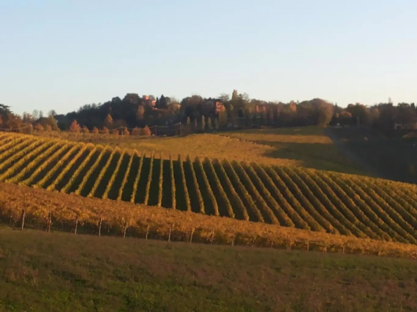 B&B il Giramondo
