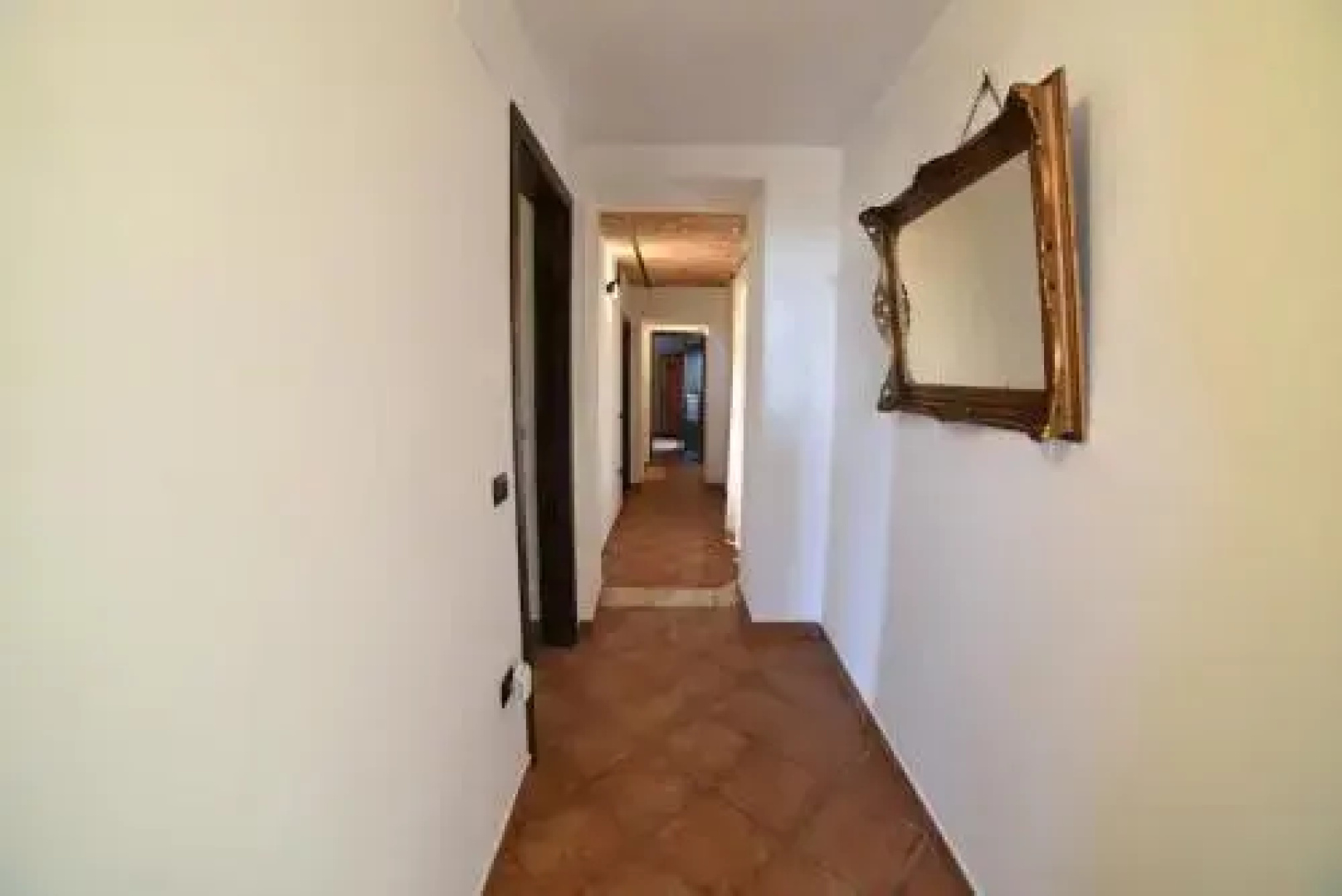 Agriturismo " La Valle degli Ulivi"