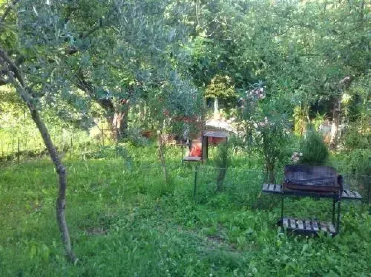 Il Giardino Del Gallo