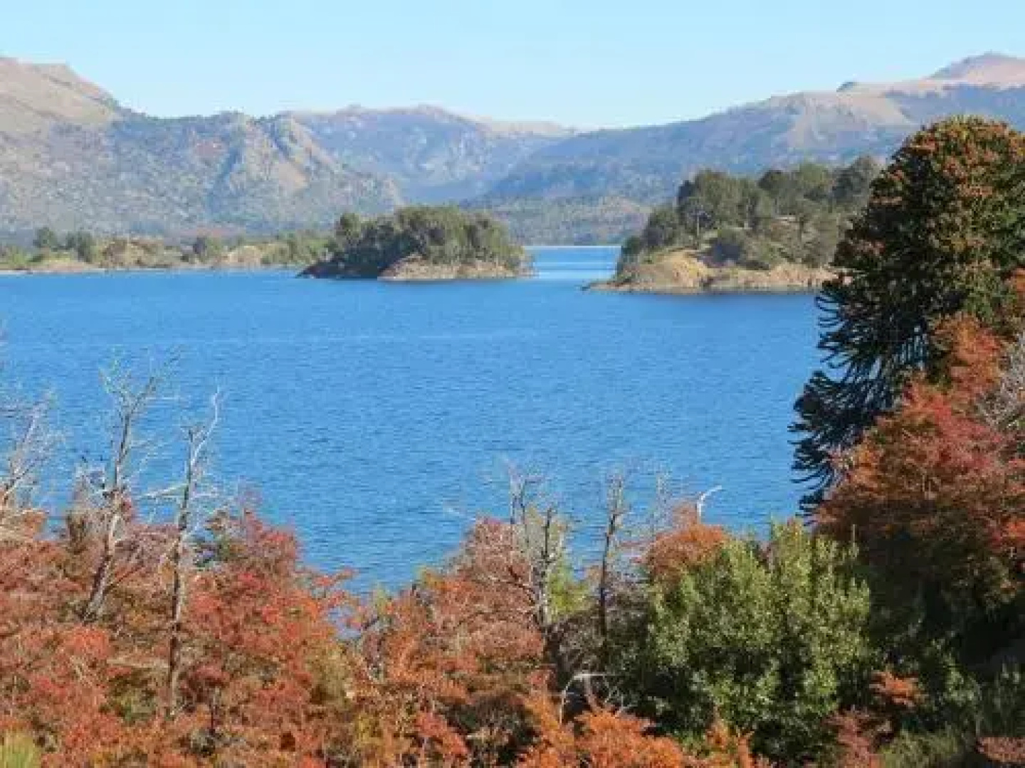 Complejo Patagonia
