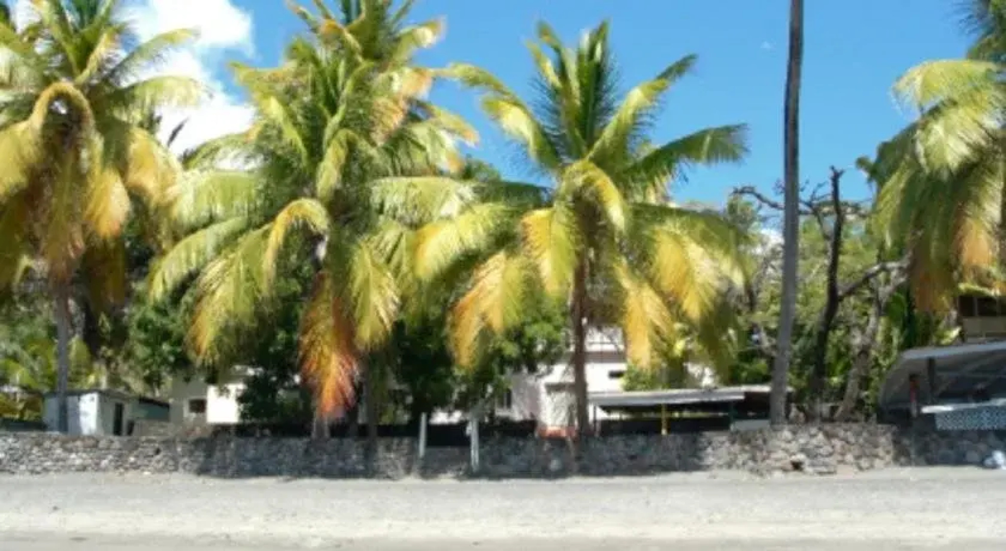 Island Bay Boutique