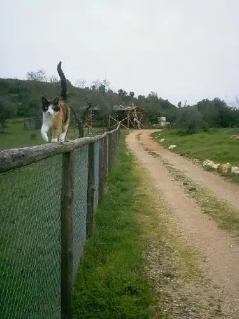 Campo Al Pozzo Cozy Cottage