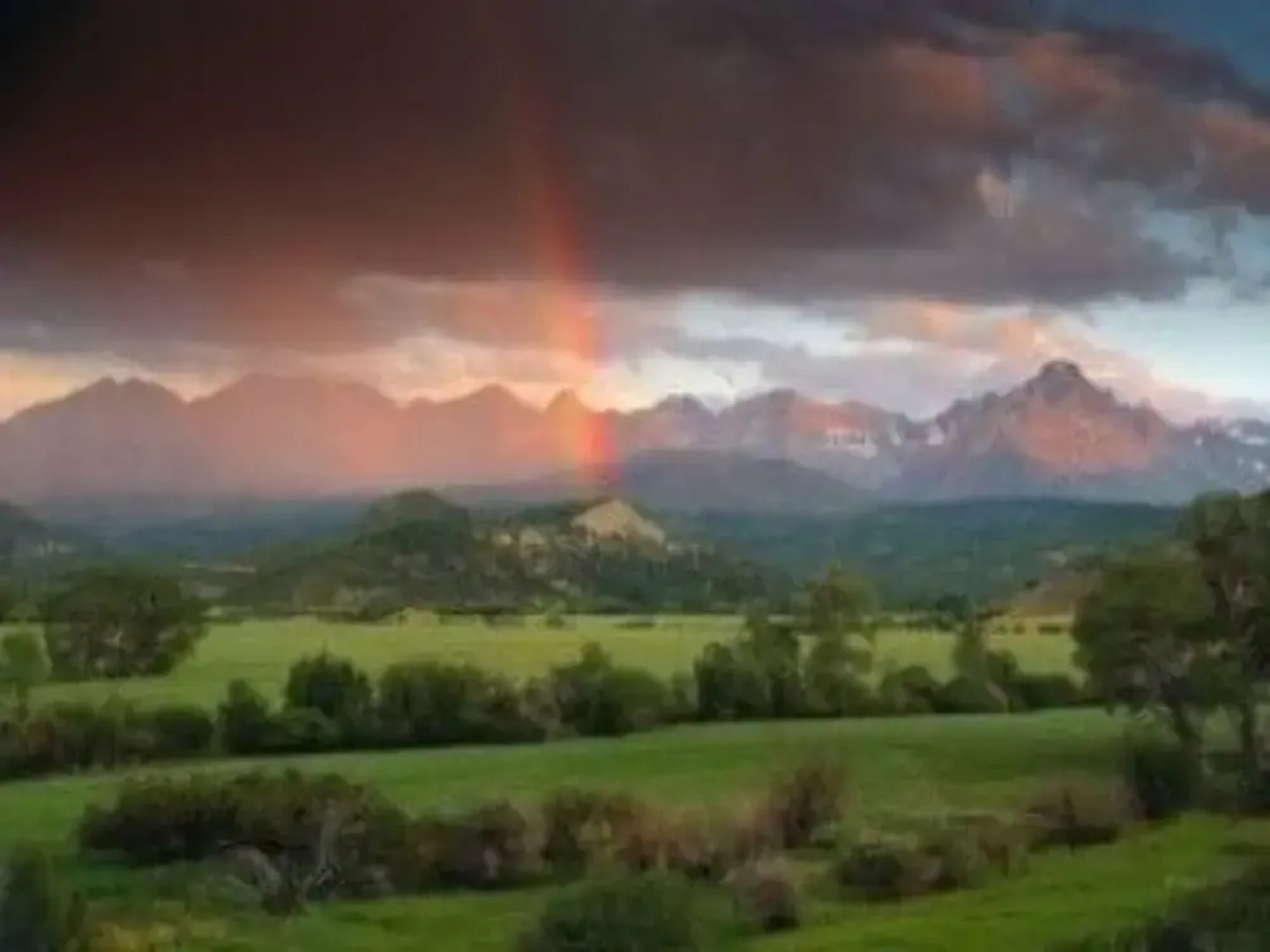 The Wilderness Cottage