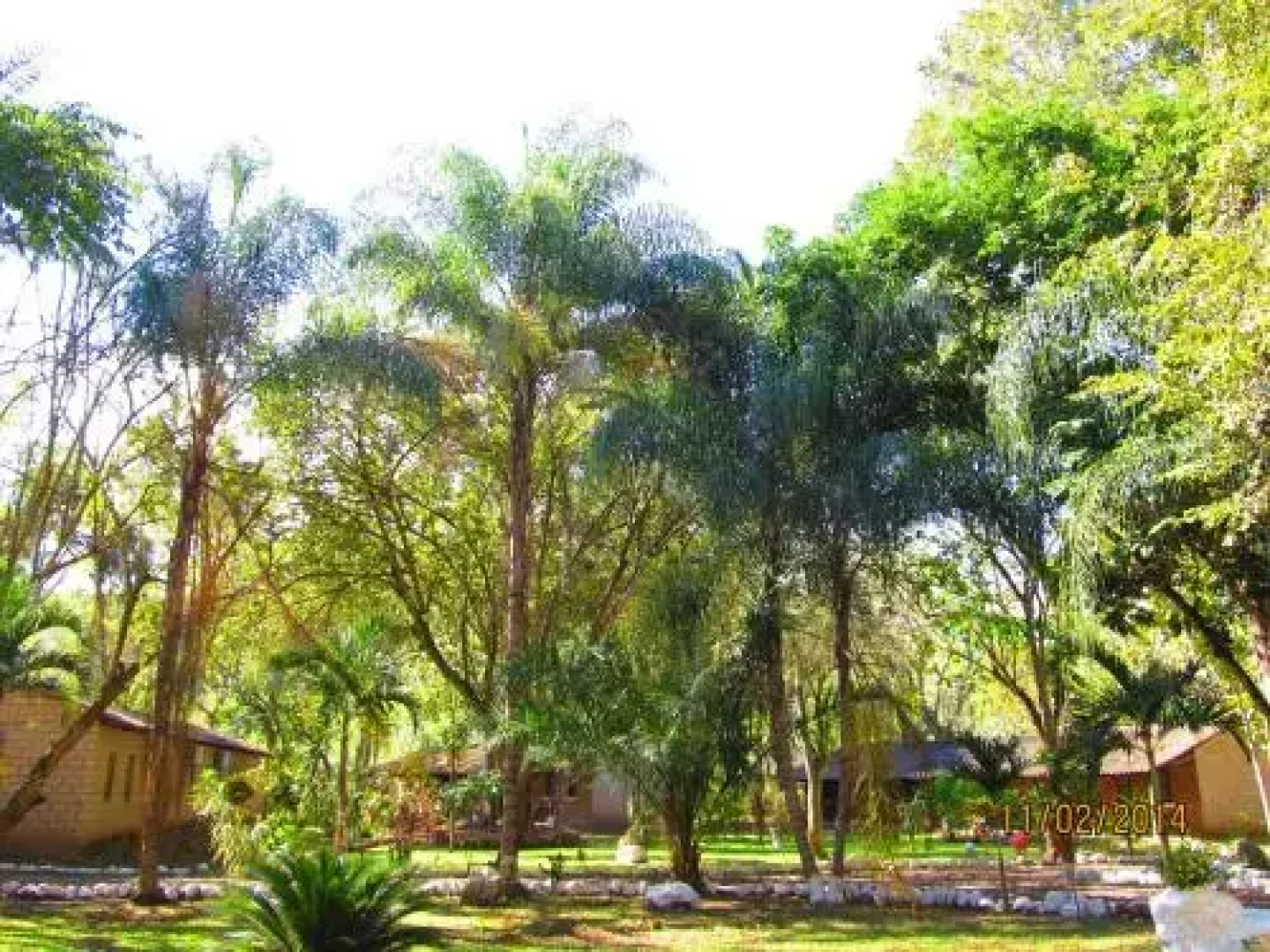 El Bosque Hotel
