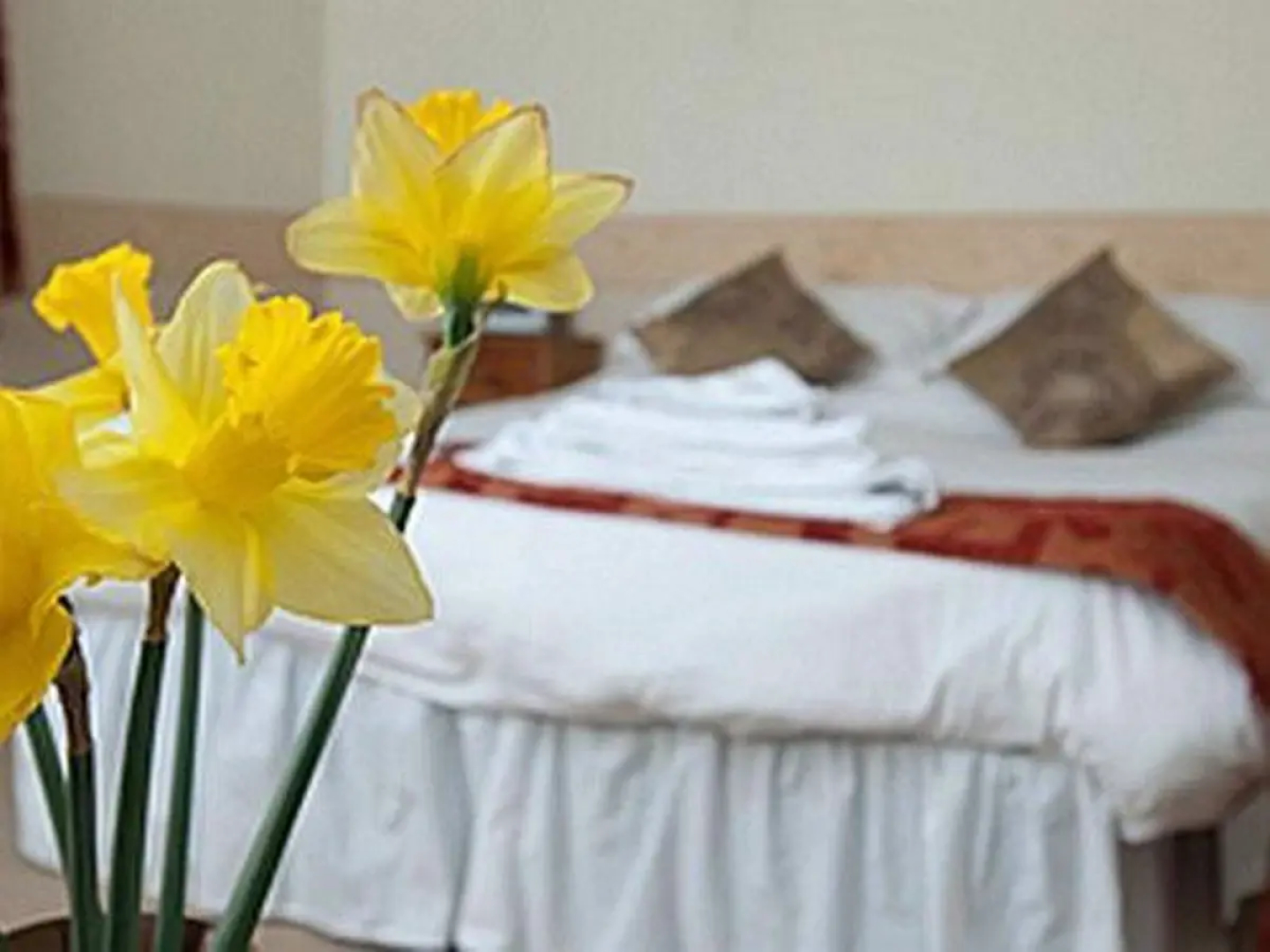 White Hart Inn