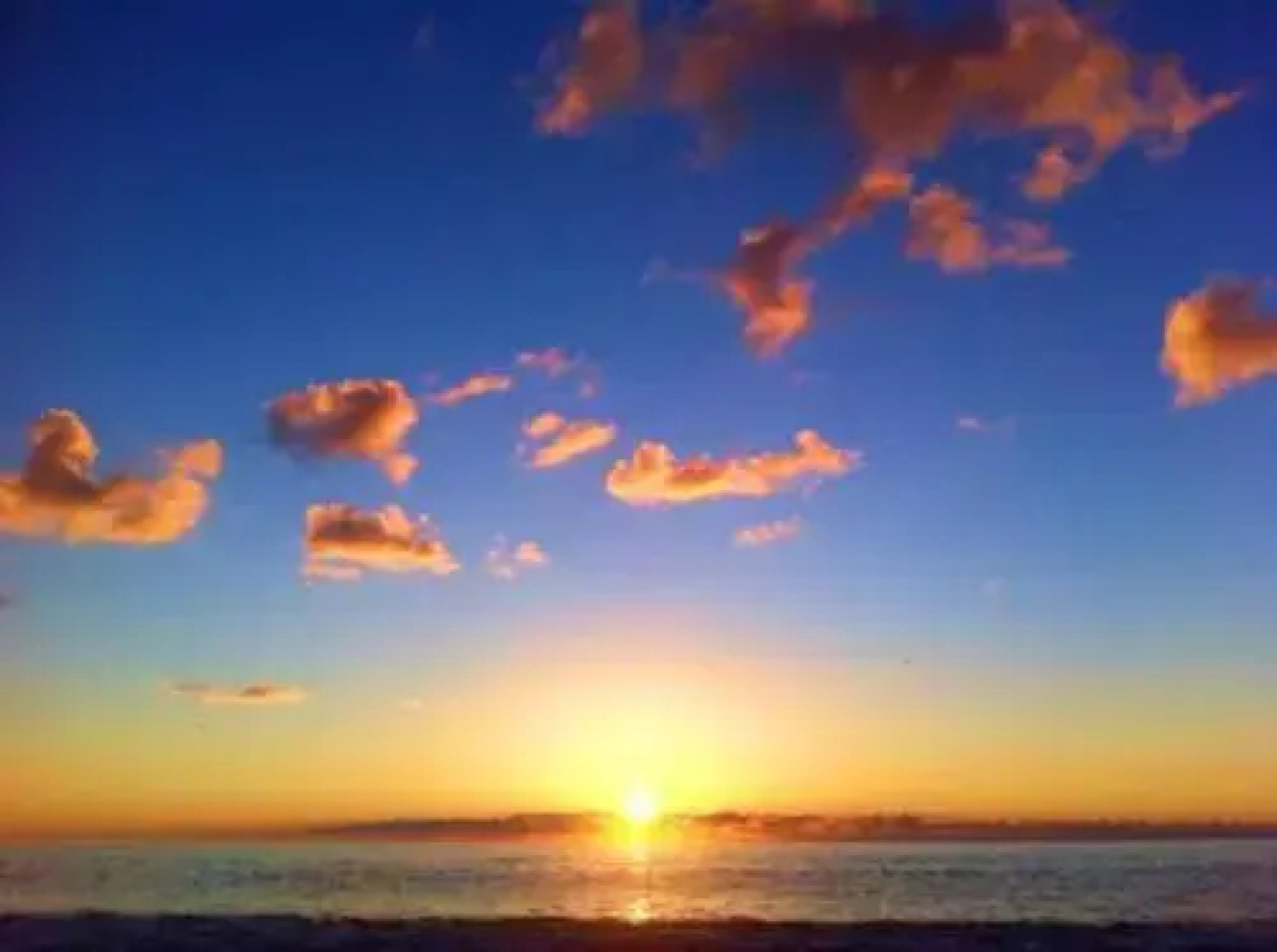 La Corte delle Rose B&B