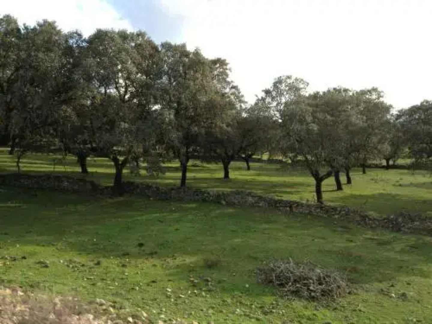 Casa Rural Majalón