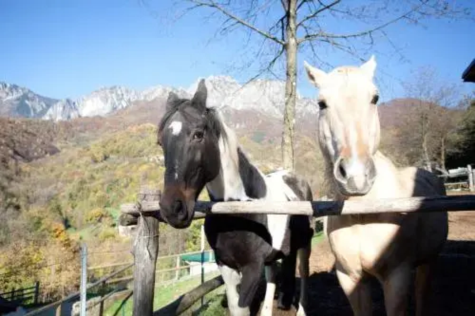 L'Angolo di Paradiso